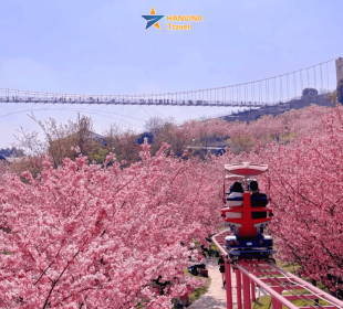 [TOUR NO SHOPPING] THÀNH ĐÔ - CỬU TRẠI CÂU - CÔNG VIÊN MANHUA - LẠC SƠN ĐẠI PHẬT | Tháng 04,05 | KHỞI HÀNH TỪ HỒ CHÍ MINH