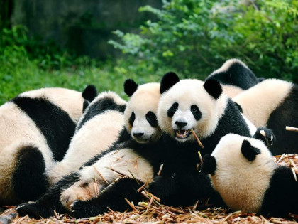[TOUR NO SHOPPING] THÀNH ĐÔ - NÚI TỨ CÔ NƯƠNG - CỬU TRẠI CÂU | KHỞI HÀNH TỪ HCM
