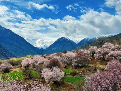 [TOUR NO SHOPPING] TÂY TẠNG: CUNG ĐIỆN POTALA - ĐẠI CHIÊU TỰ - HỒ YAMDROK - BẠCH THÁP TỰ - SÔNG BĂNG VĨNH CỬU - ĐẠI TU VIỆN TASHILHUNPO