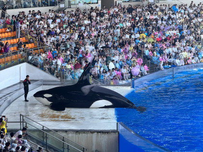 [TOUR NO SHOPPING] THƯỢNG HẢI - Ô TRẤN - HÀNG CHÂU CÓ FREEDAY | KHỞI HÀNH TỪ HỒ CHÍ MINH