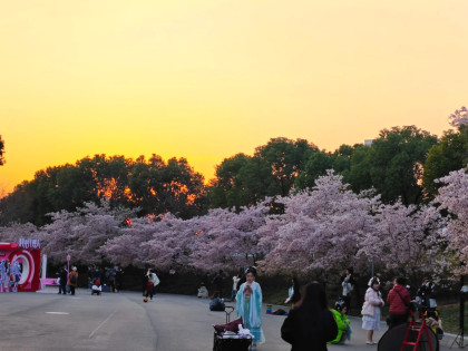 [TOUR NO SHOPPING] THƯỢNG HẢI - Ô TRẤN - HÀNG CHÂU | BAY VIETNAM AIRLINES NGÀY 08/03