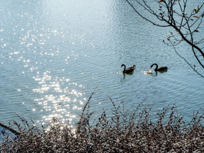 [TOUR NO SHOPPING] THƯỢNG HẢI - Ô TRẤN - HÀNG CHÂU | KHỞI HÀNH TỪ HỒ CHÍ MINH