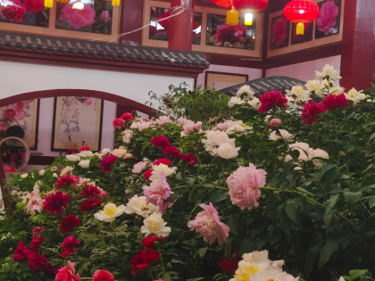 [TOUR NO SHOPPING] VŨ HÁN - KHAI PHONG - LẠC DƯƠNG - HOA SƠN - TÂY AN | KHỞI HÀNH TỪ HỒ CHÍ MINH