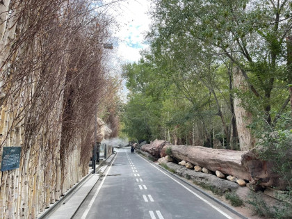 [TOUR NO SHOPPING] TÂN CƯƠNG CUNG ĐƯỜNG MÙA THU