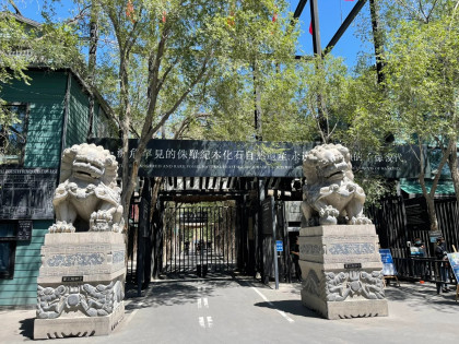 [TOUR NO SHOPPING] TÂN CƯƠNG CUNG ĐƯỜNG MÙA THU