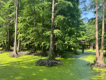 [TOUR NO SHOPPING] BẮC KINH - TÔ CHÂU - THƯỢNG HẢI - Ô TRẤN - HÀNG CHÂU | KHỞI HÀNH TỪ HỒ CHÍ MINH