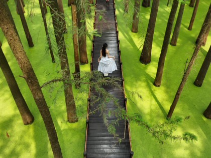 [TOUR NO SHOPPING] BẮC KINH - TÔ CHÂU - THƯỢNG HẢI - Ô TRẤN - HÀNG CHÂU | KHỞI HÀNH TỪ HỒ CHÍ MINH