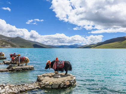 [TOUR NO SHOPPING] TÂY TẠNG: CUNG ĐIỆN POTALA - ĐẠI CHIÊU TỰ - HỒ YAMDROK - BẠCH THÁP TỰ - SÔNG BĂNG VĨNH CỬU - ĐẠI TU VIỆN TASHILHUNPO