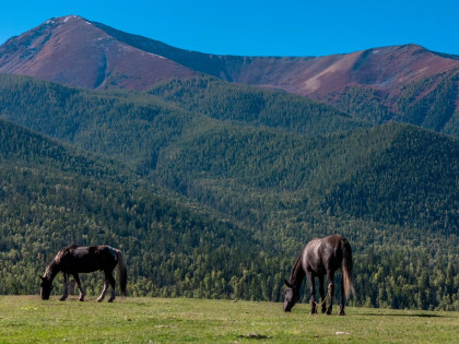 [TOUR NO SHOPPING] TÂN CƯƠNG CUNG ĐƯỜNG MÙA THU