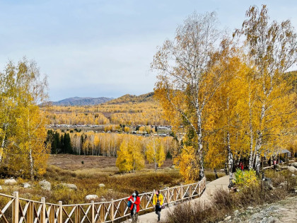 [TOUR NO SHOPPING] TÂN CƯƠNG CUNG ĐƯỜNG MÙA THU