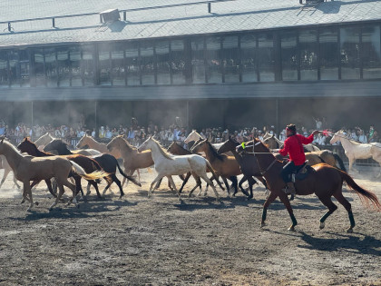 [TOUR NO SHOPPING] TÂN CƯƠNG CUNG ĐƯỜNG MÙA THU