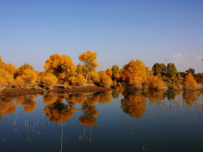 [TOUR NOSHOPPING] NAM TÂN CƯƠNG: KASHGAR - TASHKURGHAN - KASHGAR - RỪNG HỒ DƯƠNG - AKESU - URUMQI