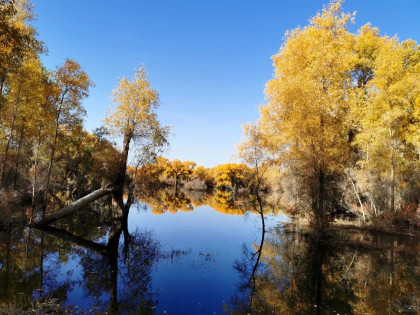 [TOUR NOSHOPPING] NAM TÂN CƯƠNG: KASHGAR - TASHKURGHAN - KASHGAR - RỪNG HỒ DƯƠNG - AKESU - URUMQI