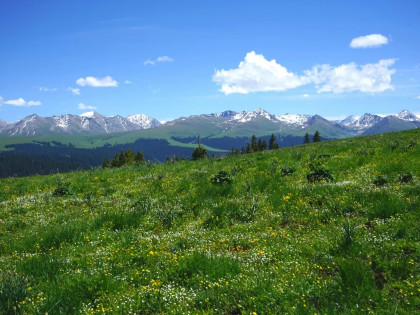 [TOUR NO SHOPPING] BẮC TÂN CƯƠNG MÙA HẠ (Khởi hành từ Hồ Chí Minh)