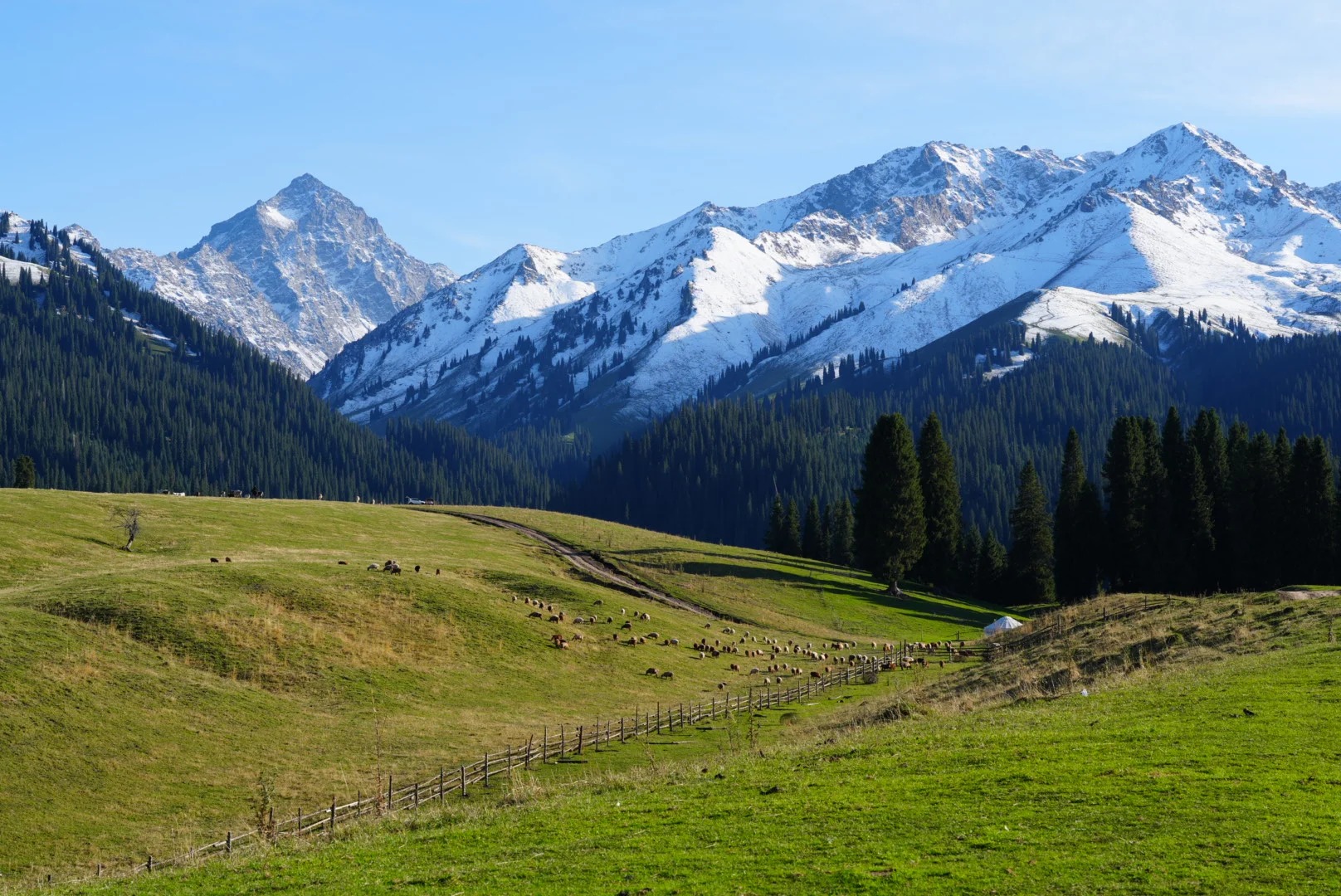 Du khách khám phá thiên nhiên nguyên sơ tại Kurdening – điểm đến mới lạ ở Tân Cương.