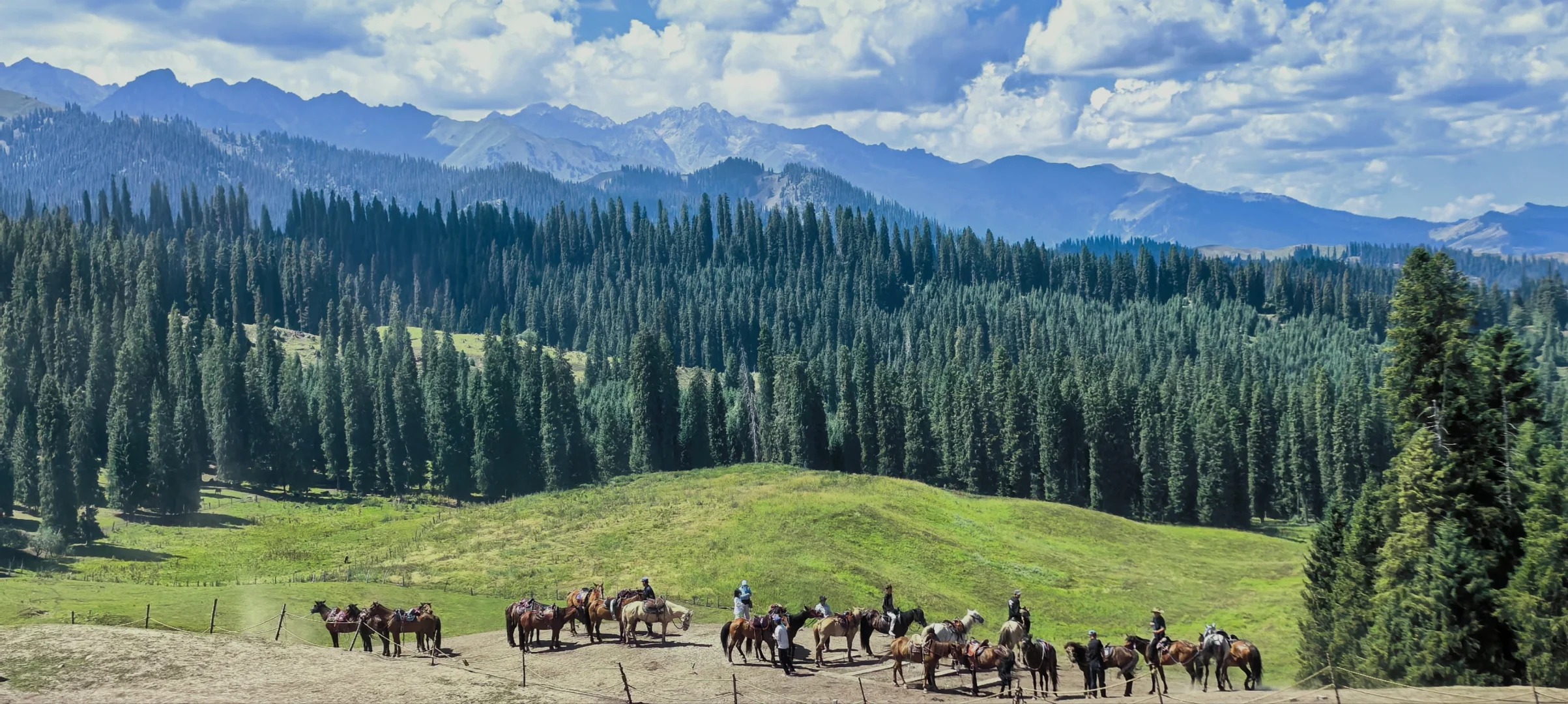  Rừng nguyên sinh Kurdening với hệ cây cổ thụ và tầng tán dày đặc.