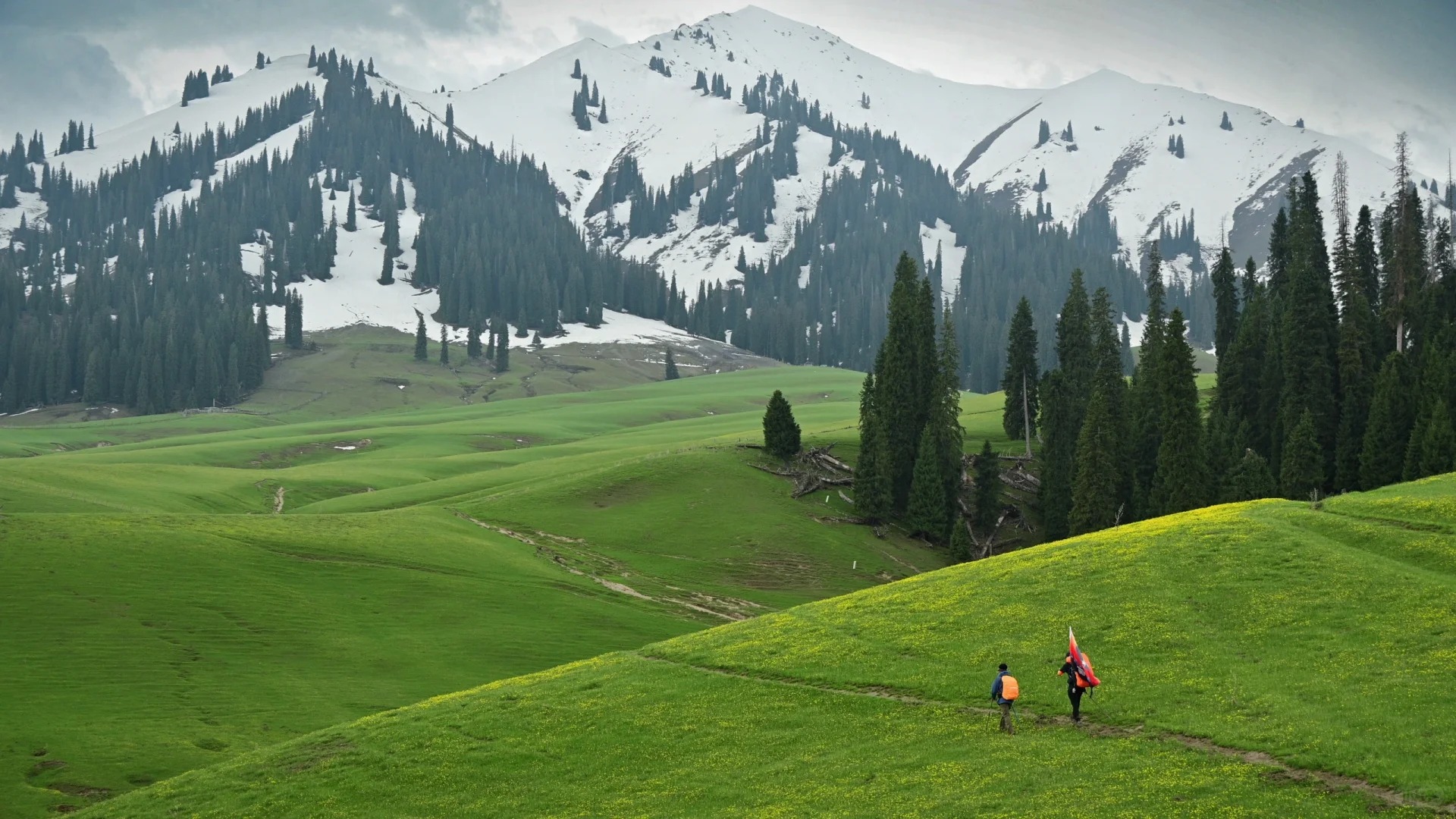Toàn cảnh Kurdening với rừng cây rậm rạp và suối trong vắt uốn lượn.