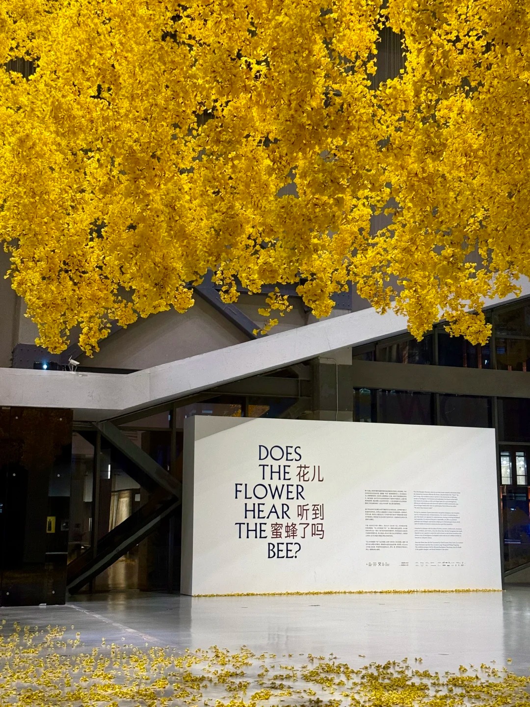 Triển l&atilde;m nghệ thuật đương đại Thượng Hải lần thứ 16 "Liệu những b&ocirc;ng hoa c&oacute; nghe thấy tiếng ong?"