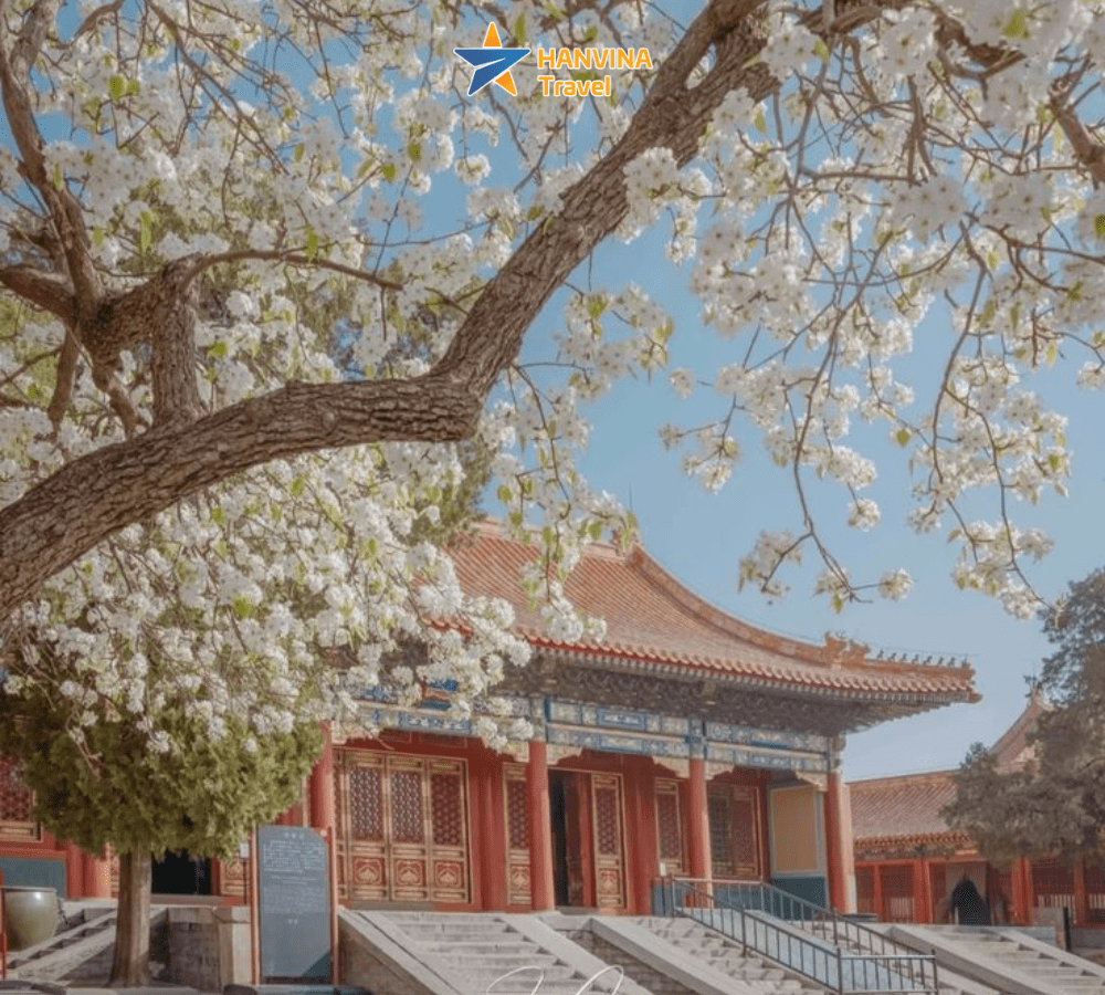 Th&agrave;nh phố Bắc Kinh v&agrave;o m&ugrave;a xu&acirc;n