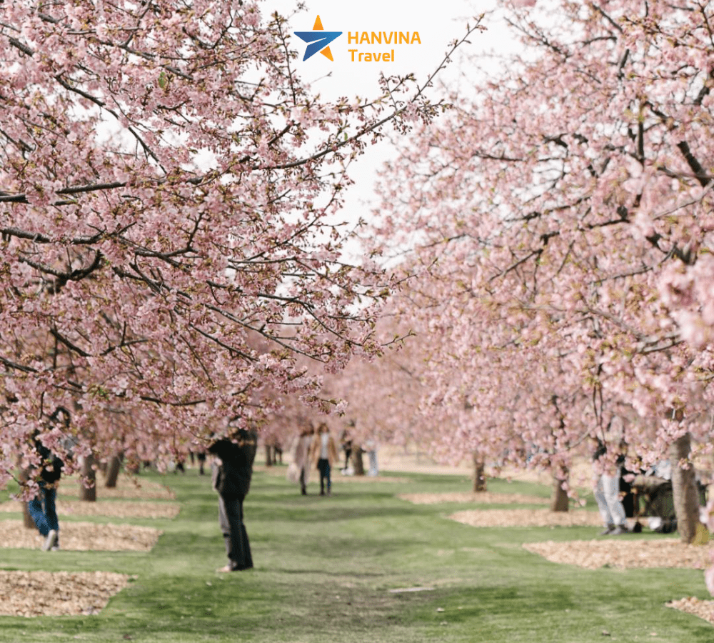 [TOUR NO SHOPPING] THƯỢNG HẢI - &Ocirc; TRẤN - H&Agrave;NG CH&Acirc;U | KHỞI H&Agrave;NH TỪ HỒ CH&Iacute; MINH