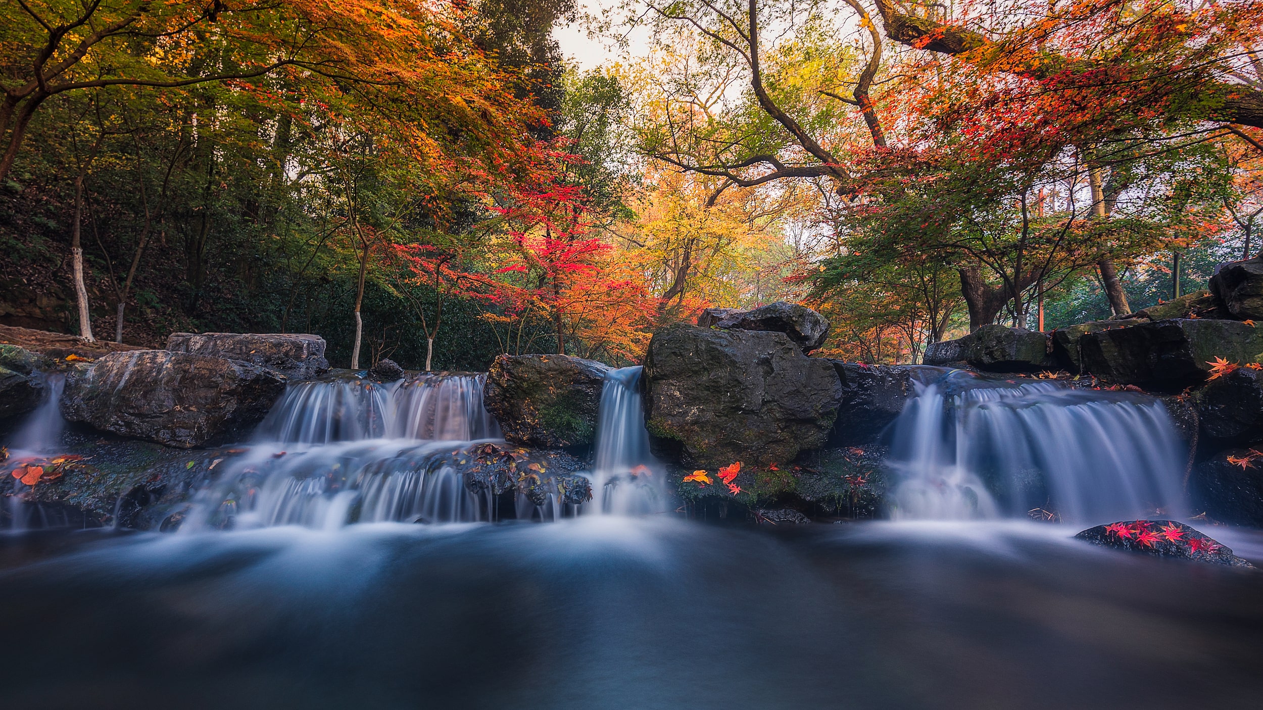 Kh&oacute;i sương phủ nhẹ tr&ecirc;n rừng c&acirc;y Nine Creeks.