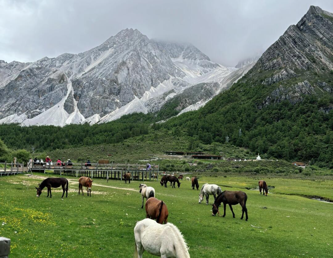 trang-trai-lac-nhung-3