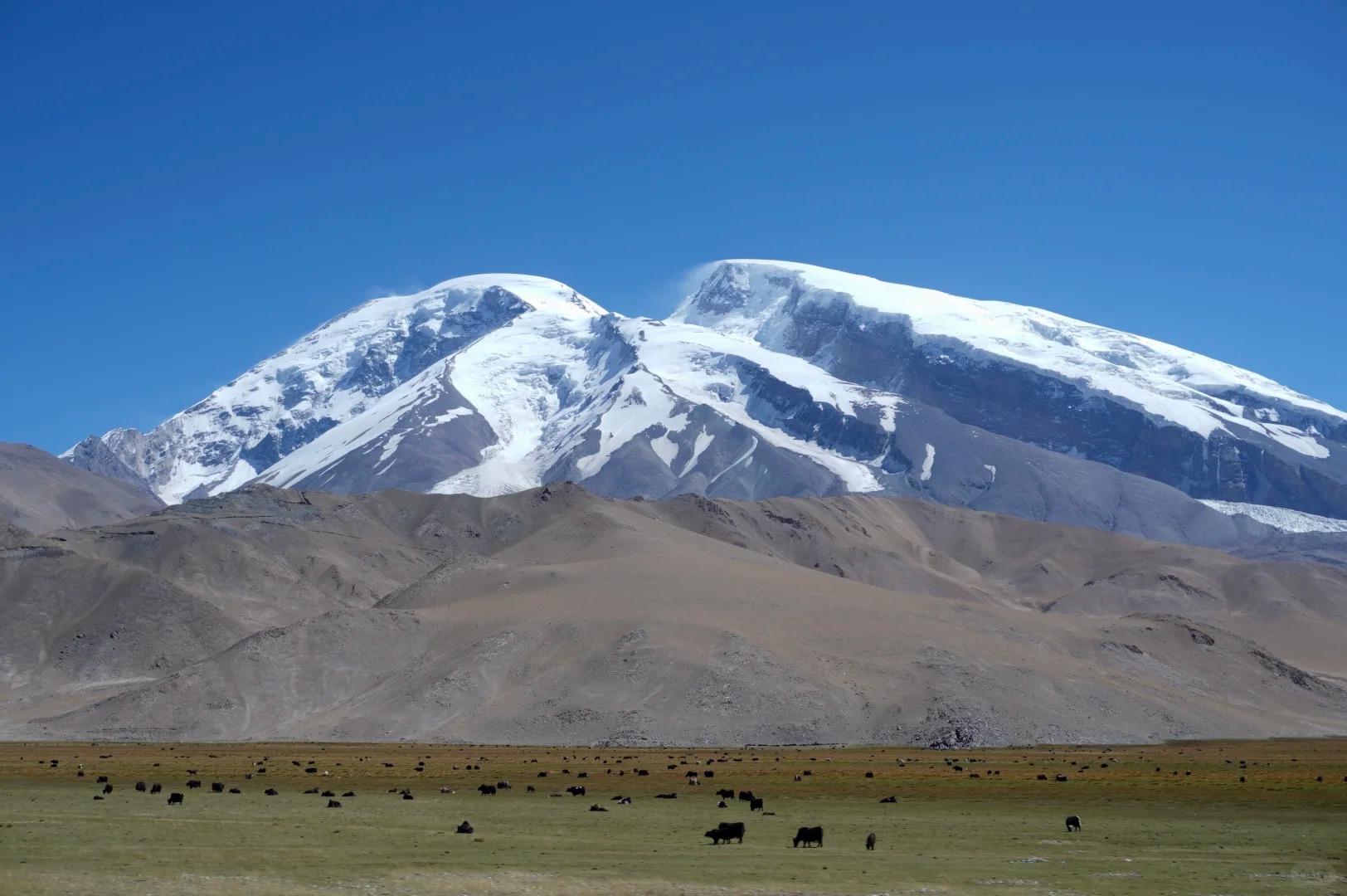 Cao nguy&ecirc;n Pamir m&ugrave;a xu&acirc;n rực rỡ hoa dại.