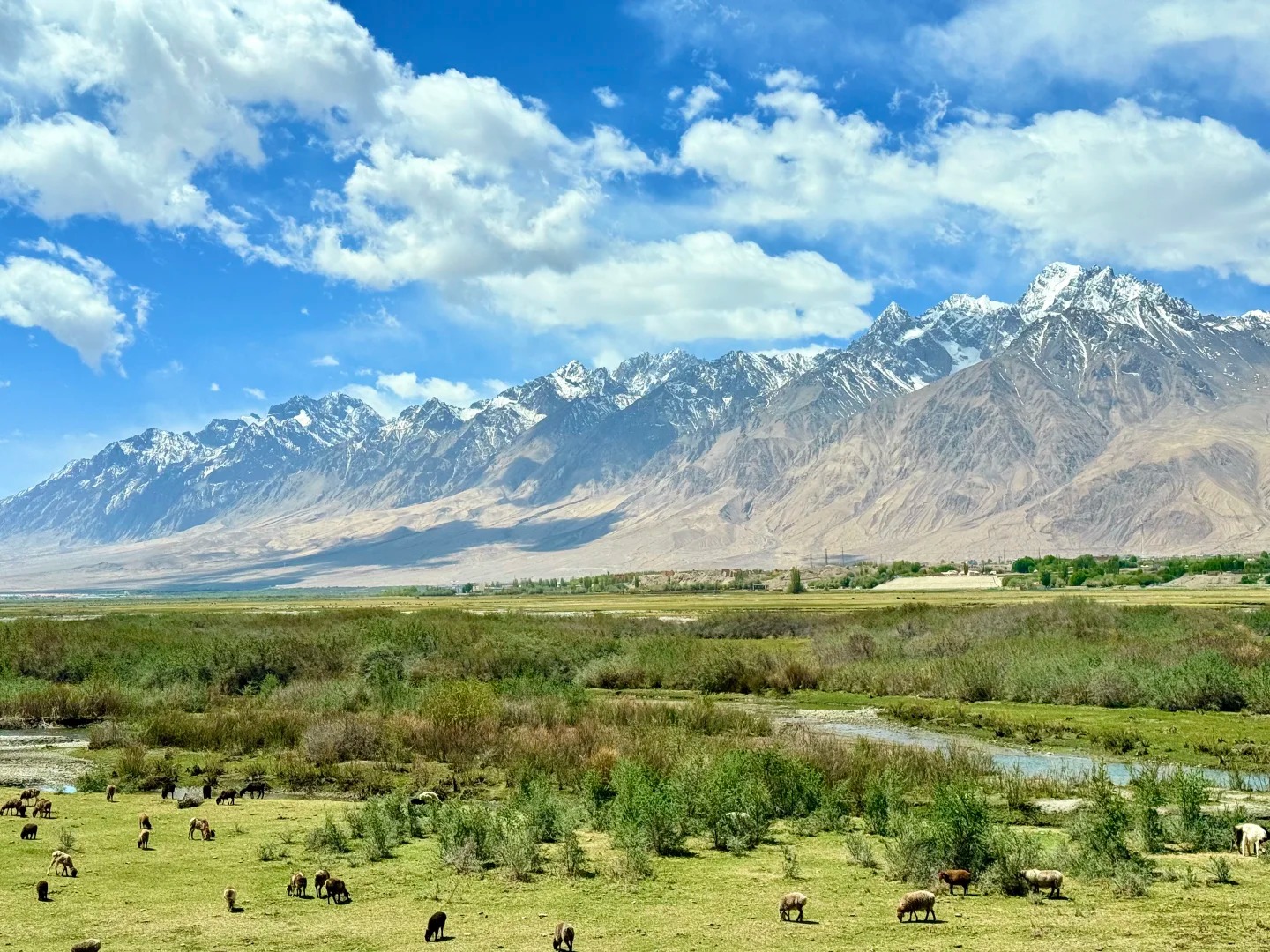 Thảo nguy&ecirc;n xanh trải d&agrave;i tr&ecirc;n Cao nguy&ecirc;n Pamir.