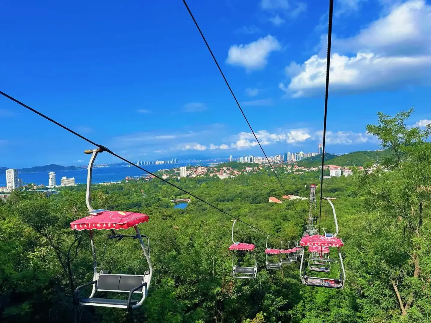 Cabin cáp treo núi Thái Bình lơ lửng trên cao.