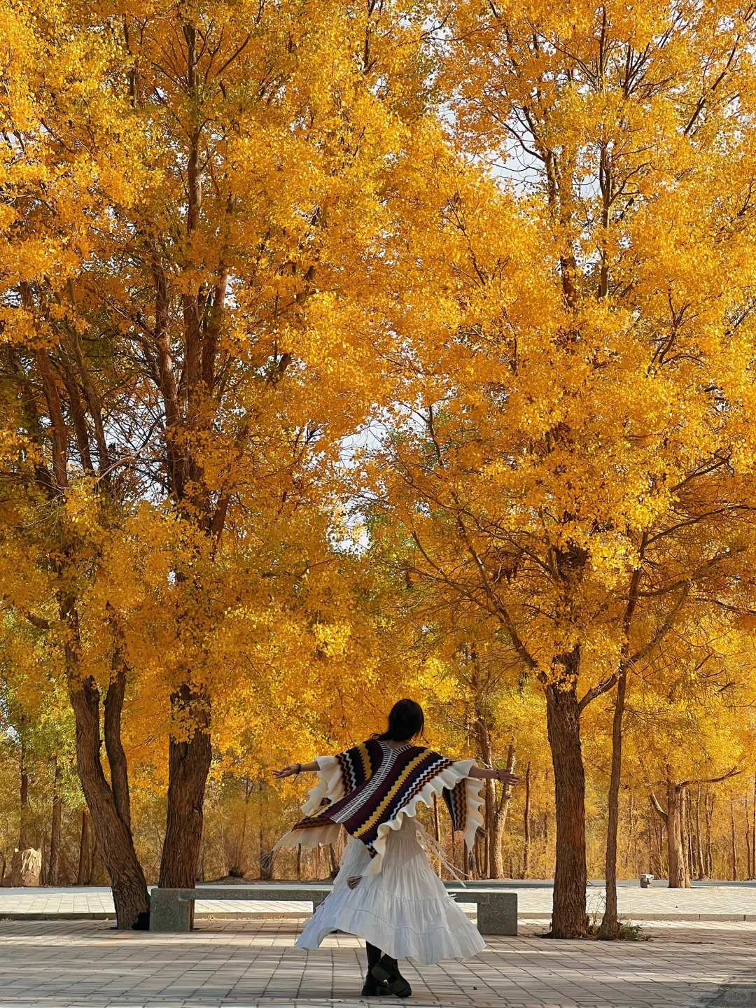 Du kh&aacute;ch check-in tại rừng Hồ Dương, chi&ecirc;m ngưỡng vẻ đẹp huyền ảo giữa sa mạc.