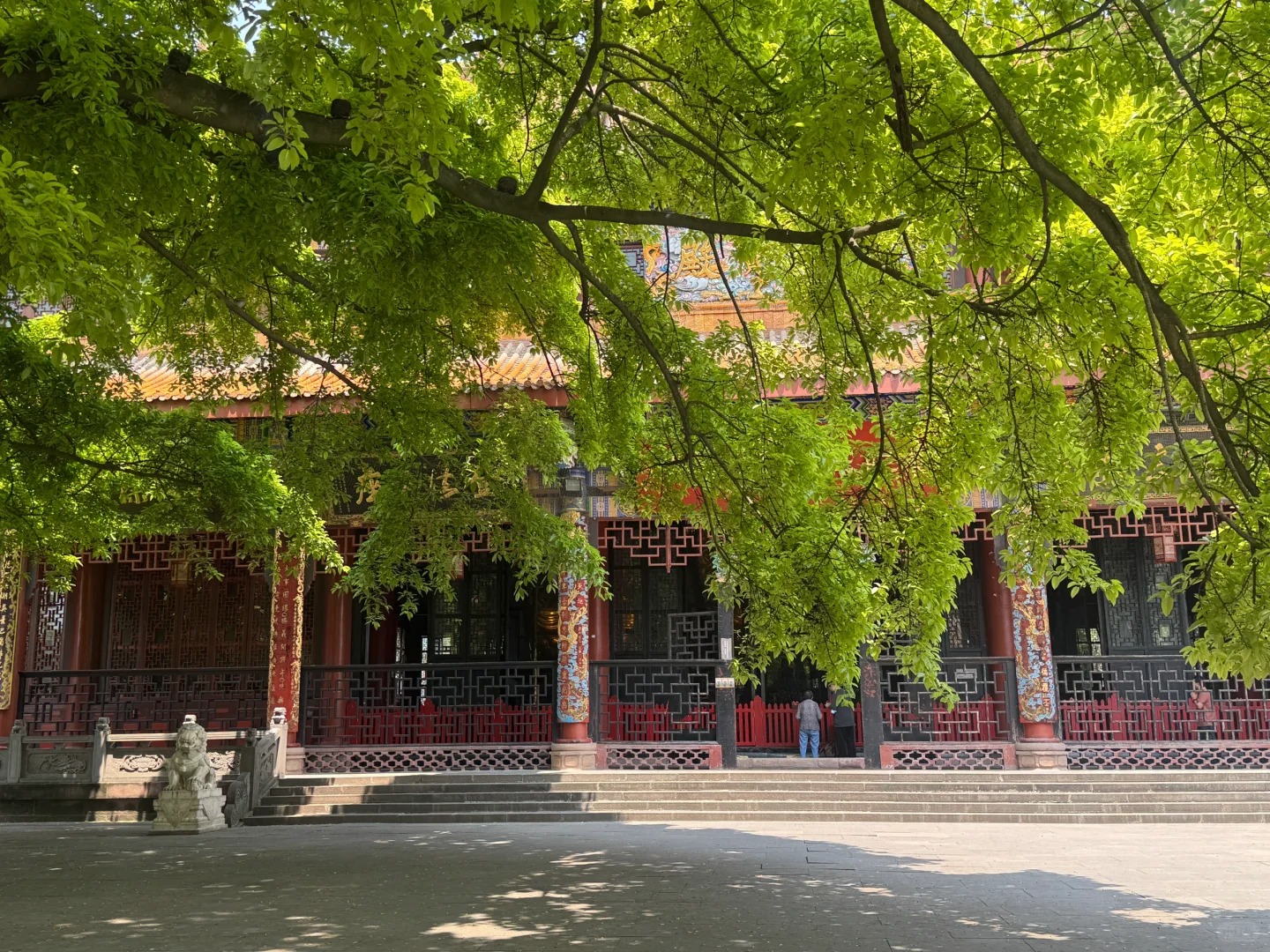 C&acirc;y cổ thụ rợp b&oacute;ng quanh ch&ugrave;a Chi&ecirc;u Gi&aacute;c