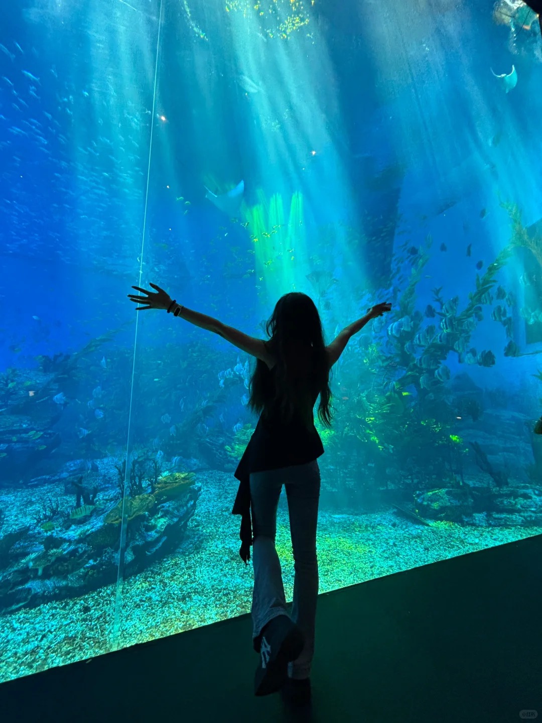 Bể cá khổng lồ phản chiếu ánh sáng xanh lam, tạo hiệu ứng huyền ảo.