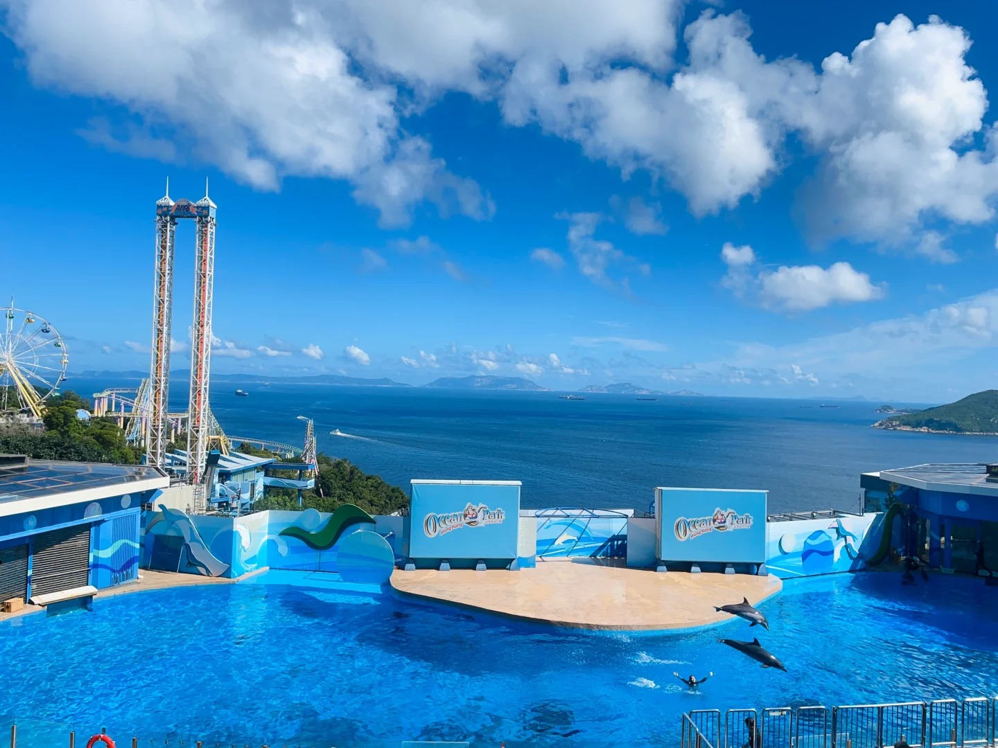 Khu biểu diễn c&aacute;c tiết mục với c&aacute;c loại c&aacute; lớn tại Ocean Park 