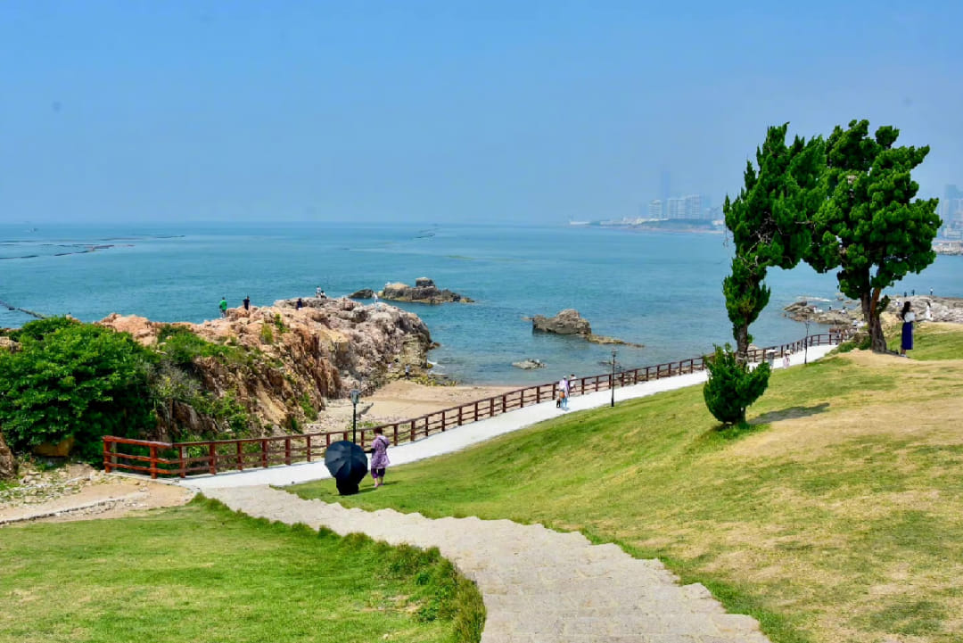 Bãi cỏ xanh mát trải dài trong công viên Tiểu Mạch Đảo ven biển.