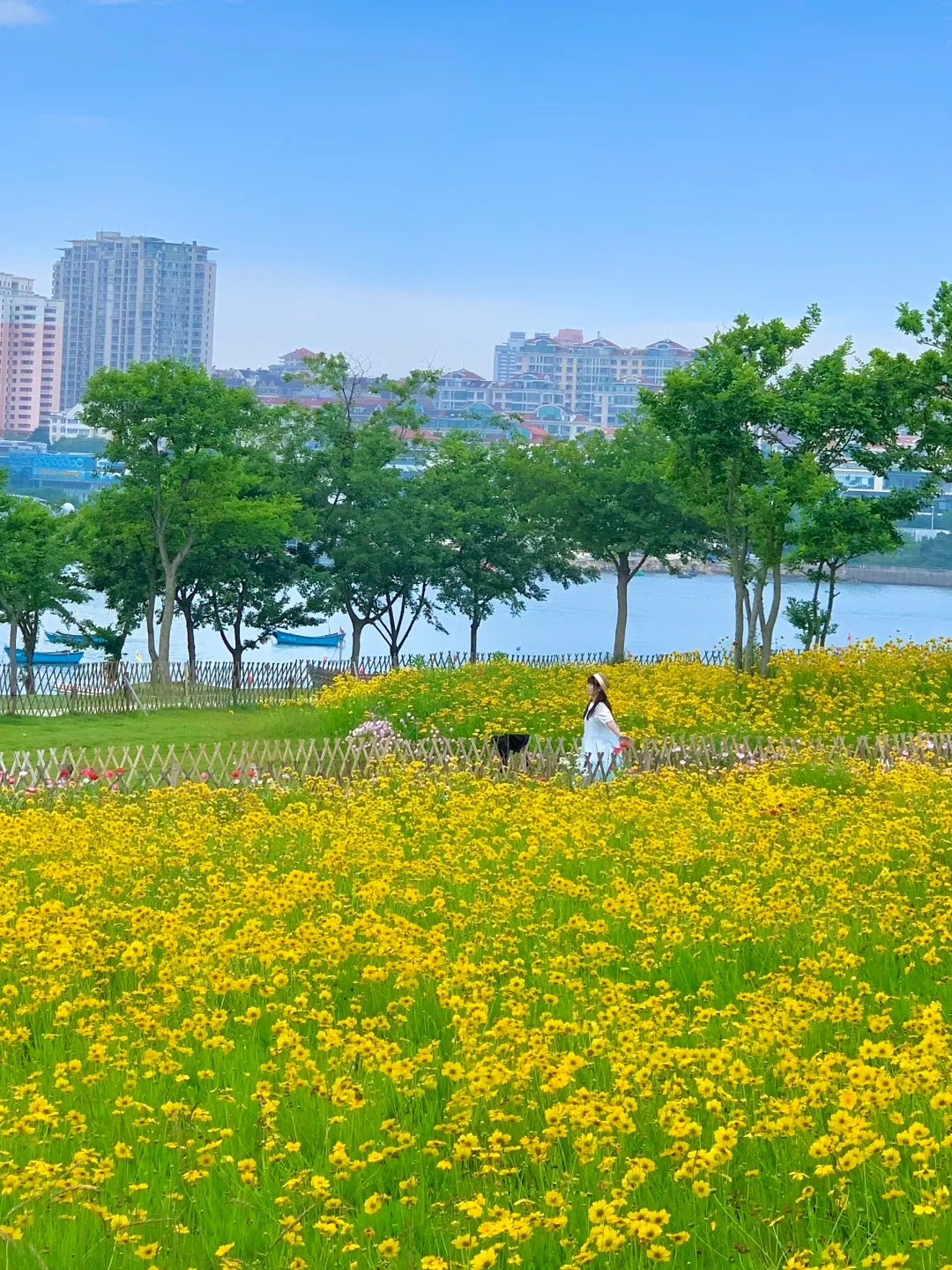 Vườn hoa rộng lớn tại Công viên Tiểu Mạch Đảo ven biển.