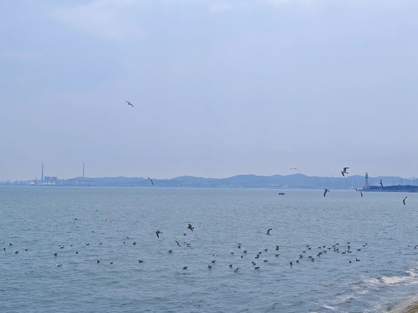 Cảnh quan biển bột hải thơ mộng nh&igrave;n từ c&ocirc;ng vi&ecirc;n uy hải