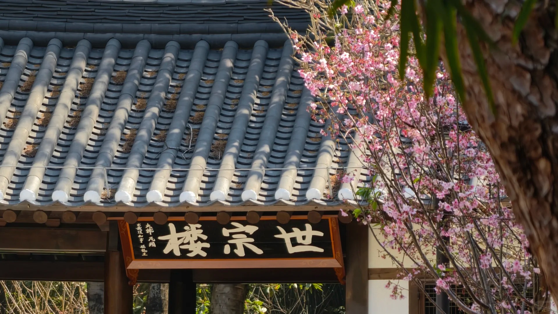 Vườn hoa rực rỡ sắc m&agrave;u trong c&ocirc;ng vi&ecirc;n.