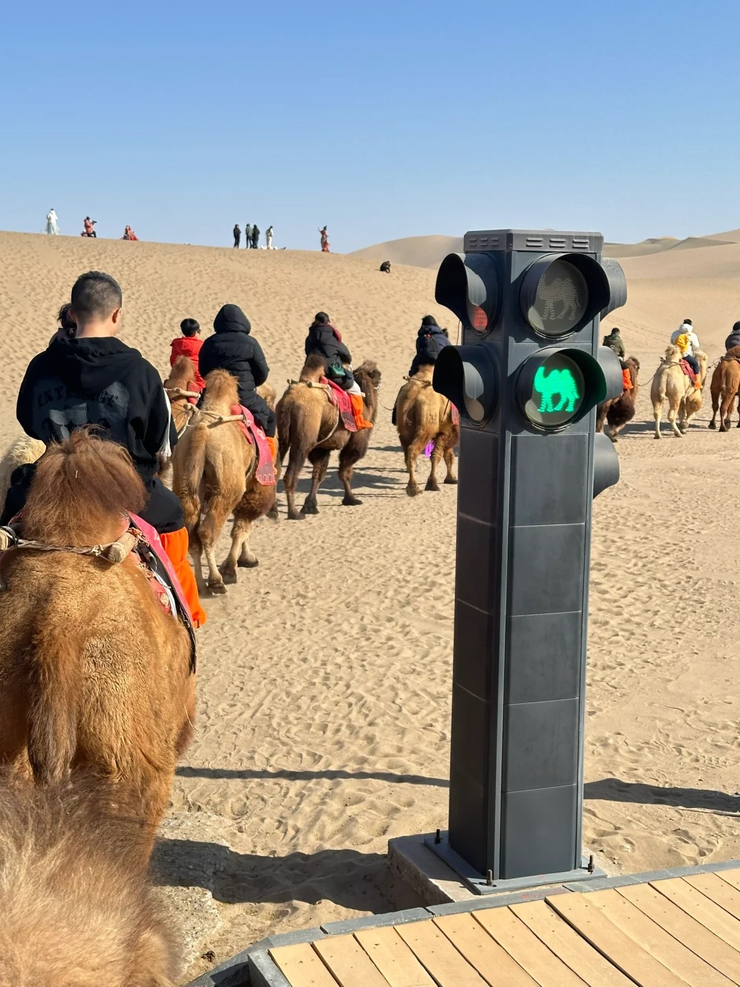 Du khách cưỡi lạc đà trên Minh Sa Sơn, tận hưởng hành trình khám phá sa mạc Gobi đầy thú vị.