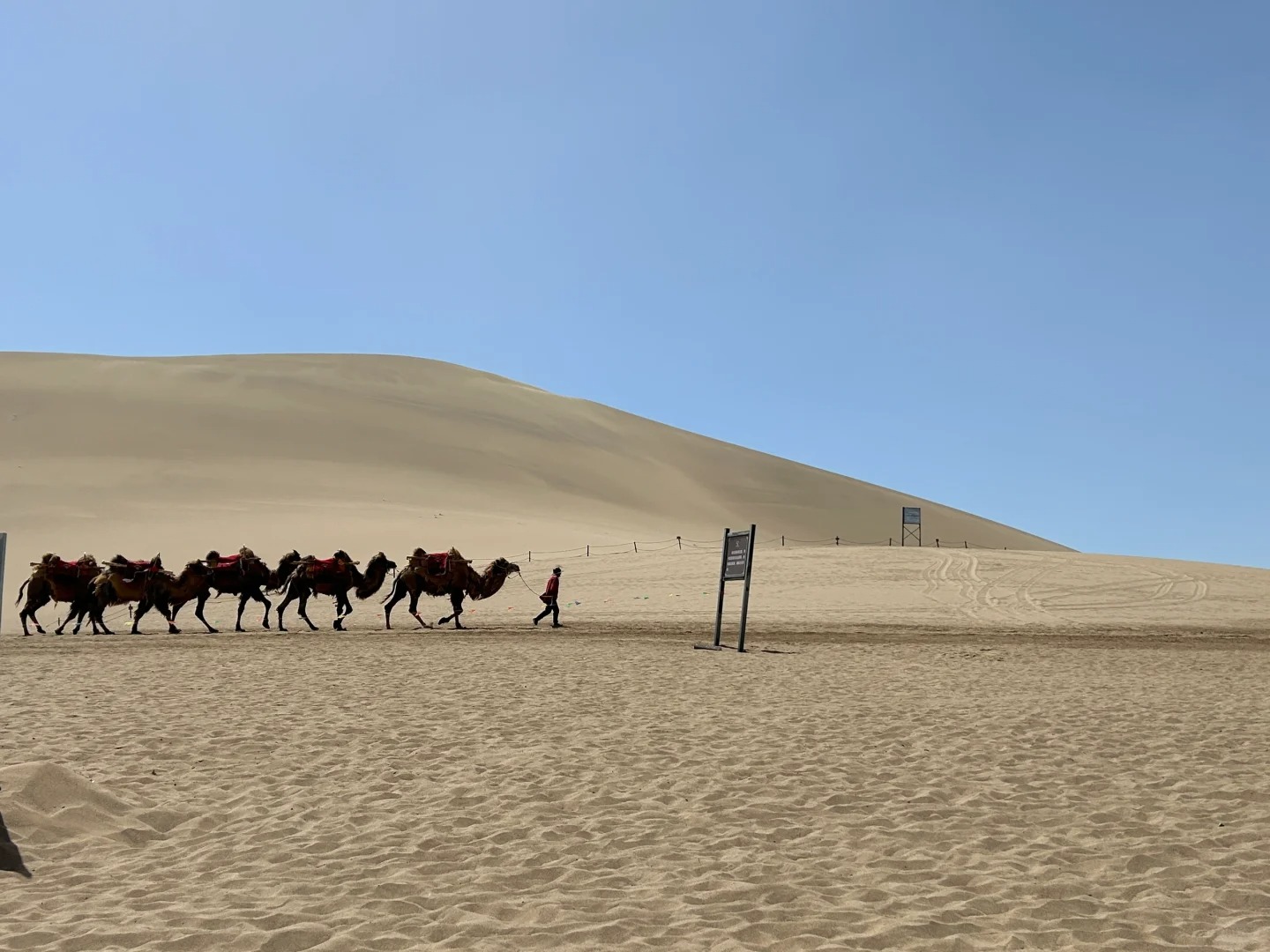 Trải nghiệm cưỡi lạc đà trên Minh Sa Sơn, băng qua những đồi cát vàng bất tận dưới ánh hoàng hôn rực rỡ.