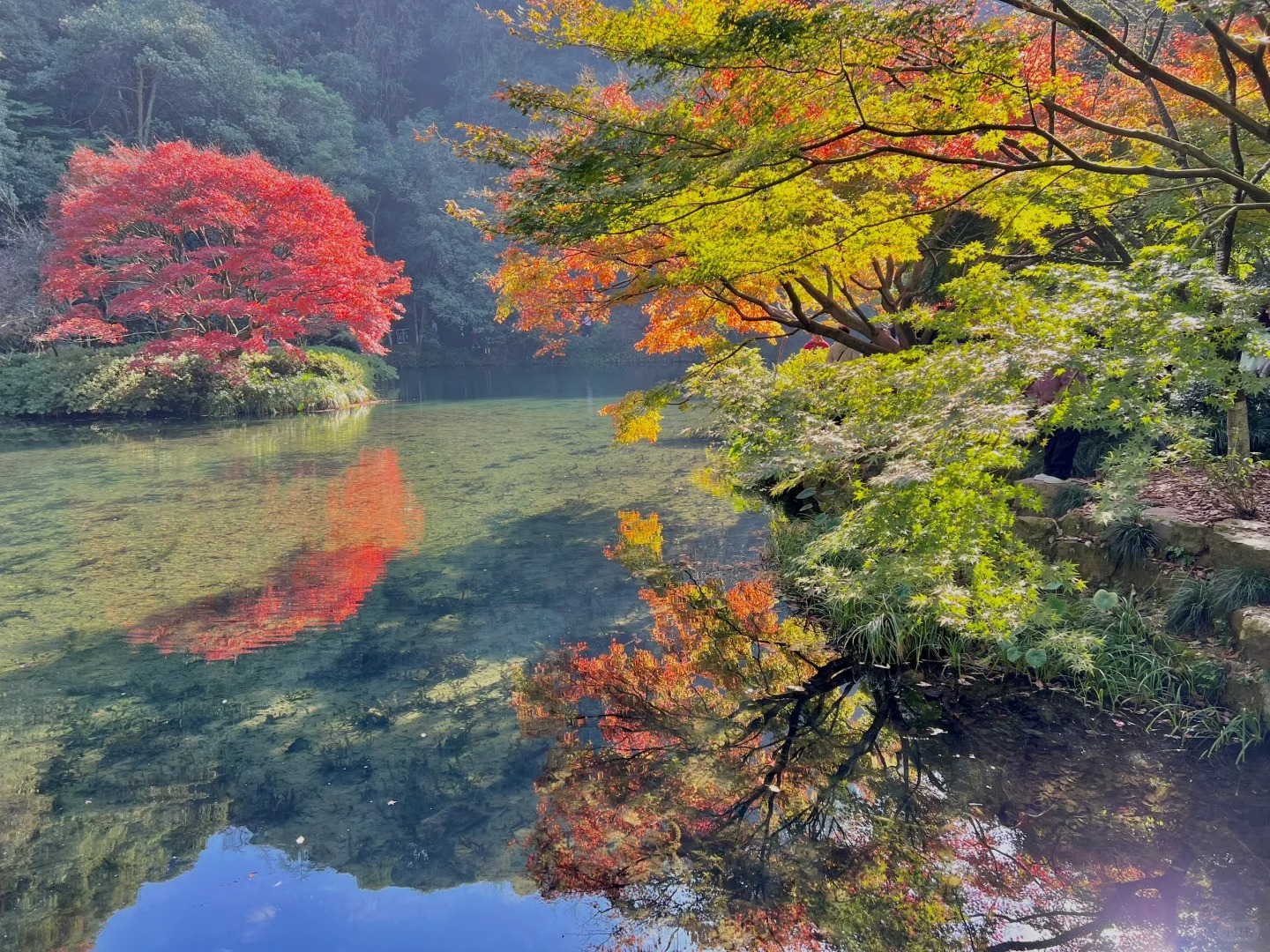 Cửu Kh&ecirc; Y&ecirc;n với d&ograve;ng suối uốn lượn giữa rừng xanh.