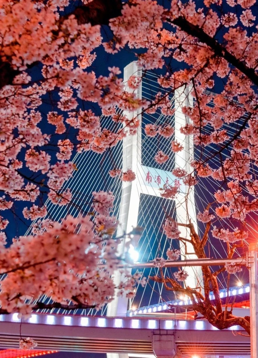 Toàn cảnh cầu Nam Phố với kiến trúc ấn tượng, nối liền trung tâm thành phố sầm uất.