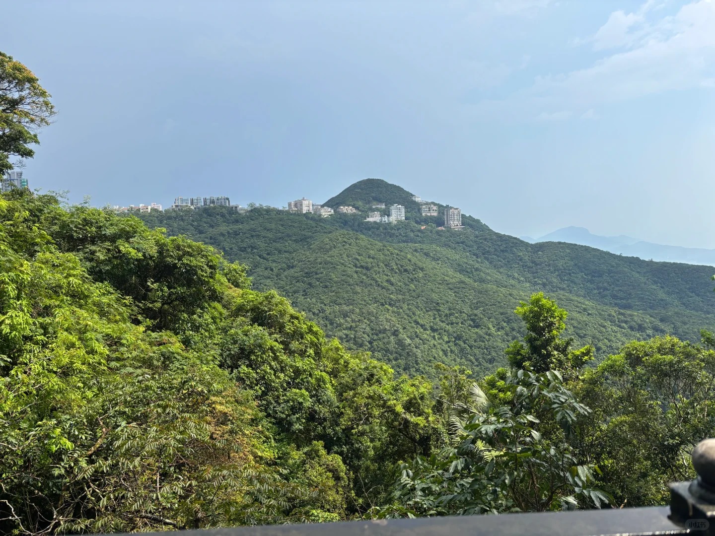 N&uacute;i xanh bao phủ quanh Victoria Peak.