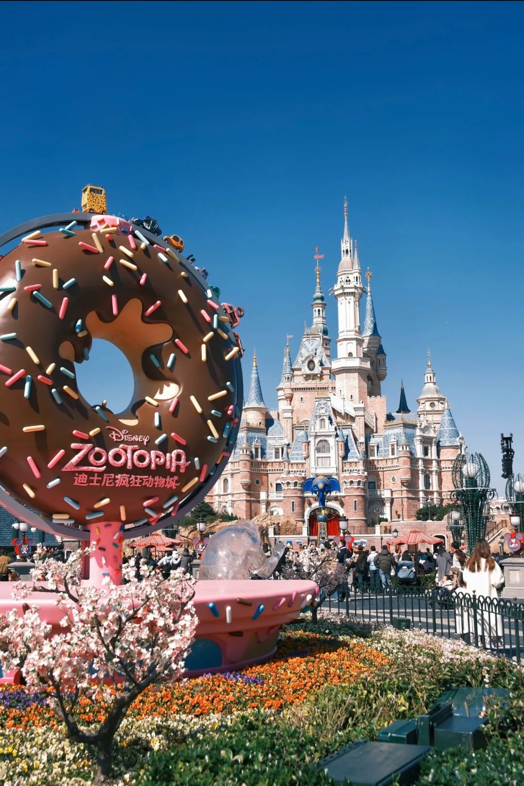 Lâu Đài Enchanted Storybook Castle – Lâu đài lớn nhất trong các công viên Disney, điểm check-in không thể bỏ lỡ.