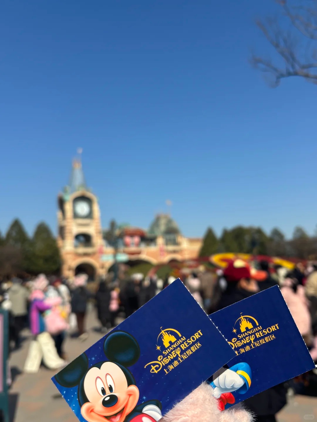 Những lưu ý khi mua Vé Disneyland Thượng Hải
