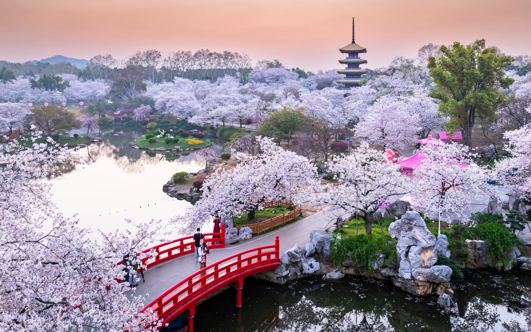 Con đường l&aacute;t đ&aacute; rợp b&oacute;ng hoa đ&agrave;o nở tại đ&ocirc;ng hồ đ&agrave;o vi&ecirc;n