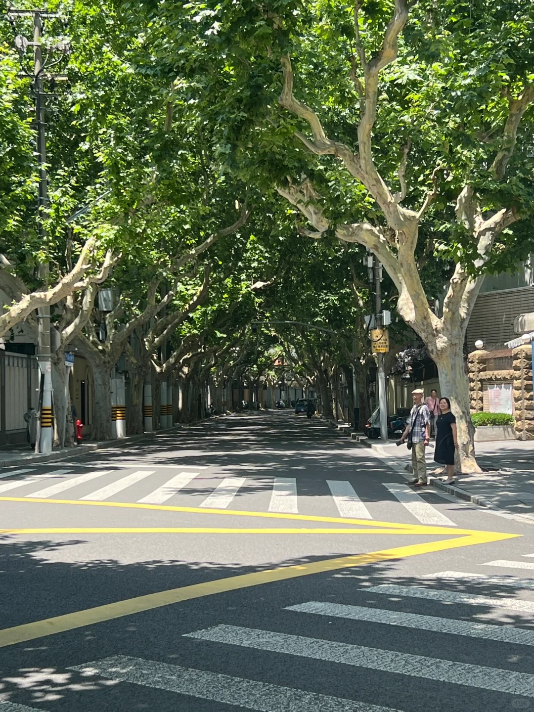 H&agrave;ng c&acirc;y xanh rợp b&oacute;ng tr&ecirc;n Wukang Road.