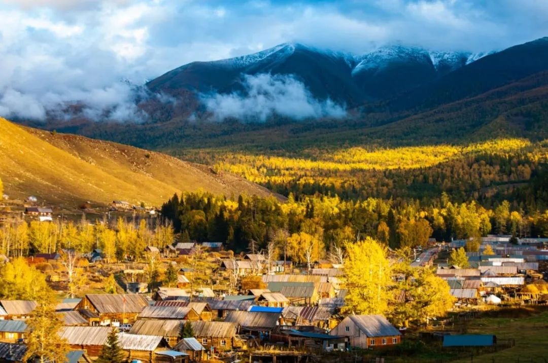 Du khách đi bộ xuyên rừng Kanas, khám phá hệ sinh thái hoang sơ và không khí trong lành vùng biên giới.