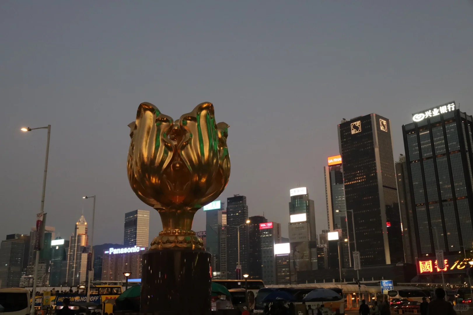Ho&agrave;ng h&ocirc;n phủ &aacute;nh v&agrave;ng l&ecirc;n tượng hoa.