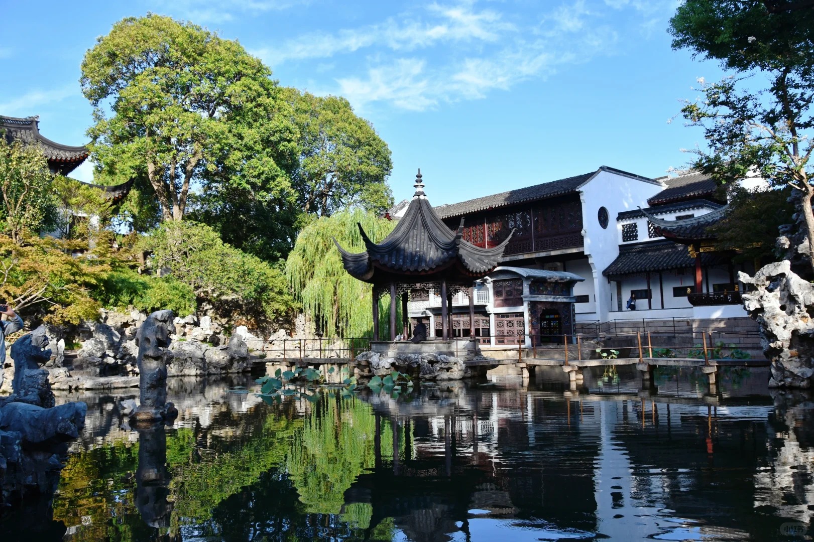 Hồ nước lớn b&ecirc;n trong sư Tử L&acirc;m với nhiều c&acirc;y bonsai bao quanh xanh mướt