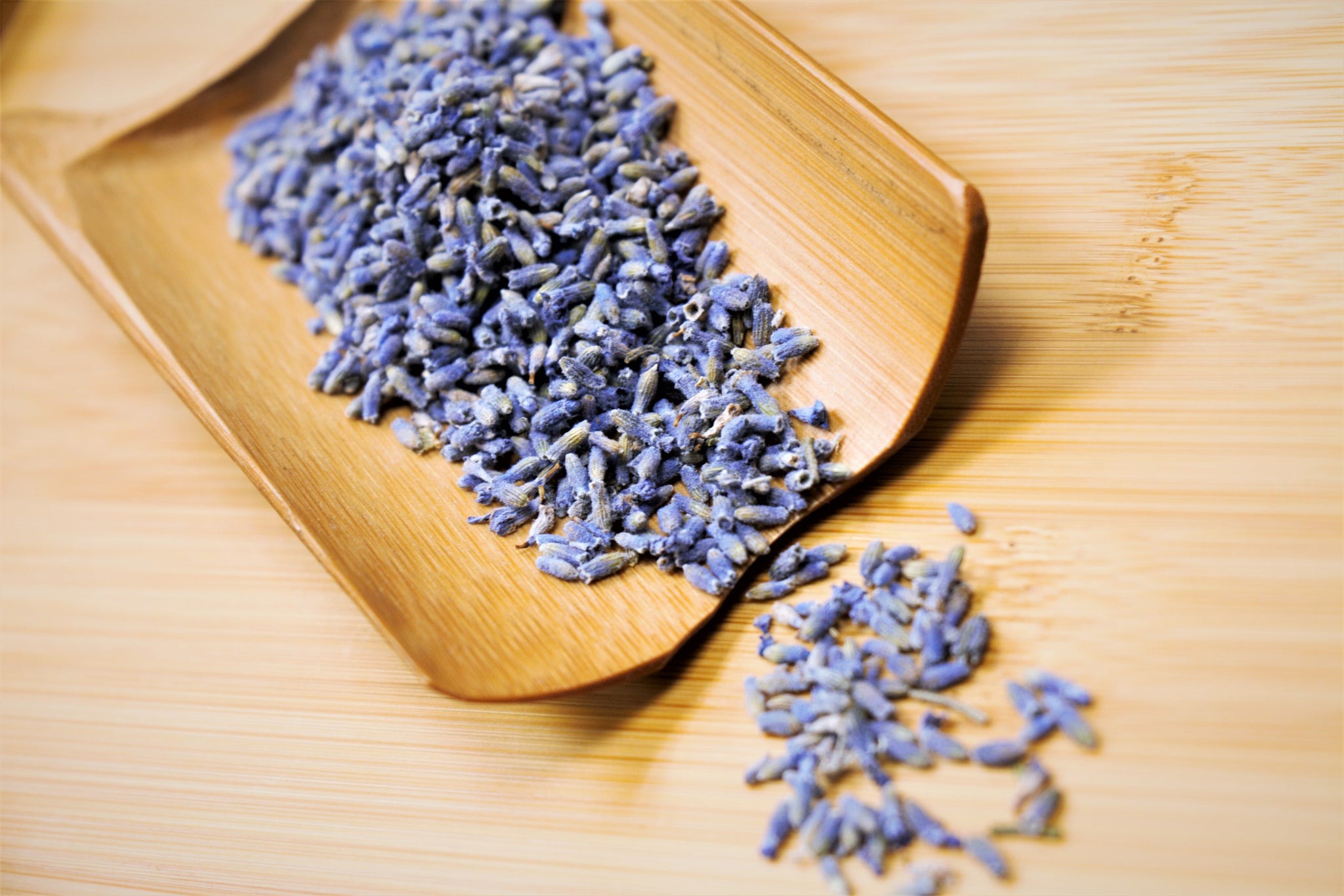 Oải hương Tân Cương – biểu tượng của mùa hè ngọt ngào và thanh khiết.